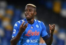 Spaletti confirms Victor Osimhen’s availability Osimhen Napoli